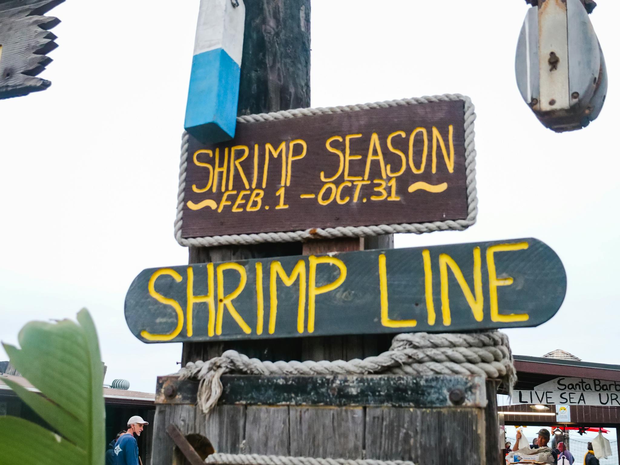 A wooden shrimp season sign at an outdoor market. Vibrant and inviting.